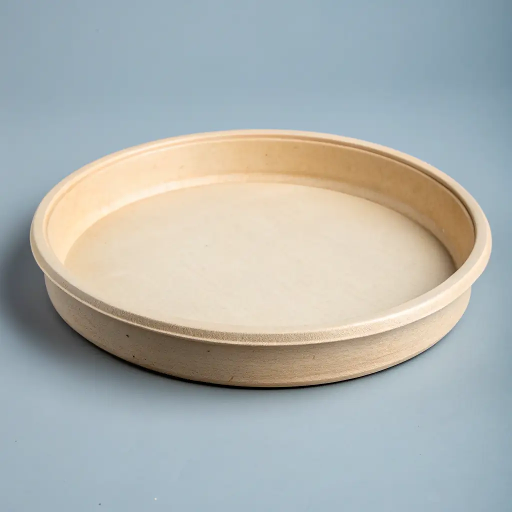 Disposable Serving Trays